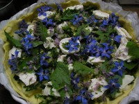 /album/galerie-photos/balades-plantes-juin-022-jpg/